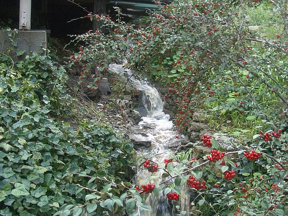 Seasonal waterfall with upper bridge
