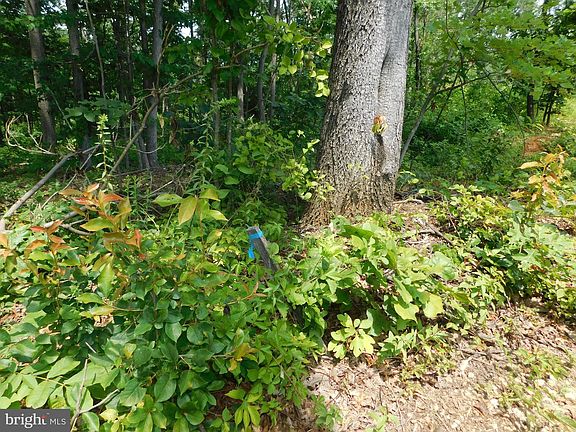 5th image of LOT 4A1 Larkin Ridge Rd