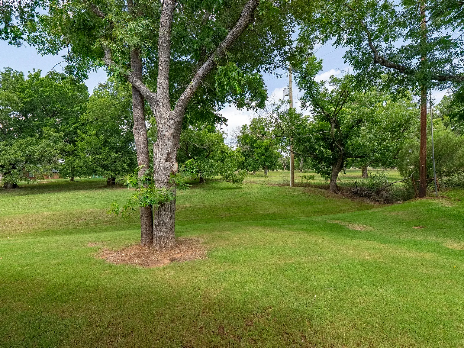 4 bed, 2207 sqft, $2,900 — Photo 3