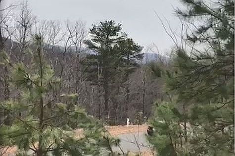 1st image of 104 Pacific Falls Trl