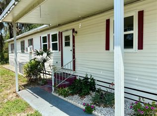 1178 County Road 461, Lake Panasoffkee, FL 33538