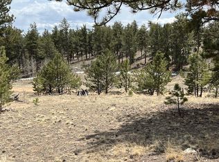 79 Shenandoah Path, Hartsel, CO 80449