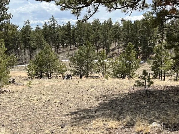 79 Shenandoah Path, Hartsel, CO 80449