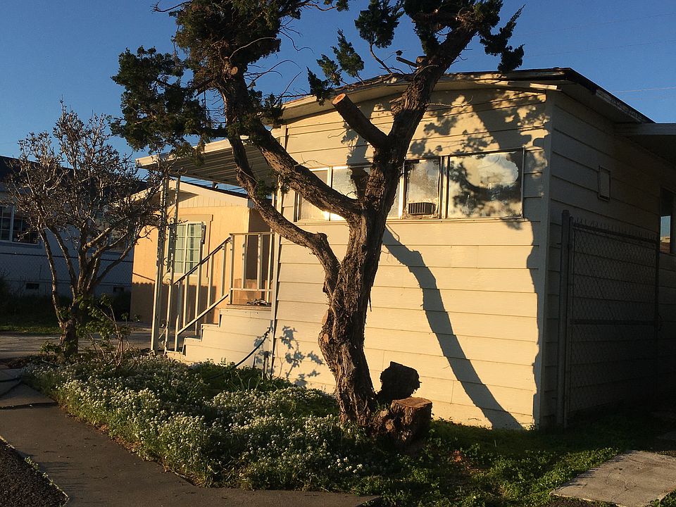 2nd image of 431 Neptune Dr