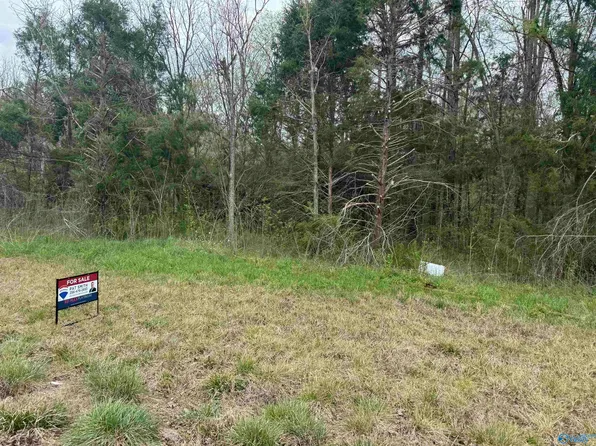 State Highway 36, Danville, AL 35619