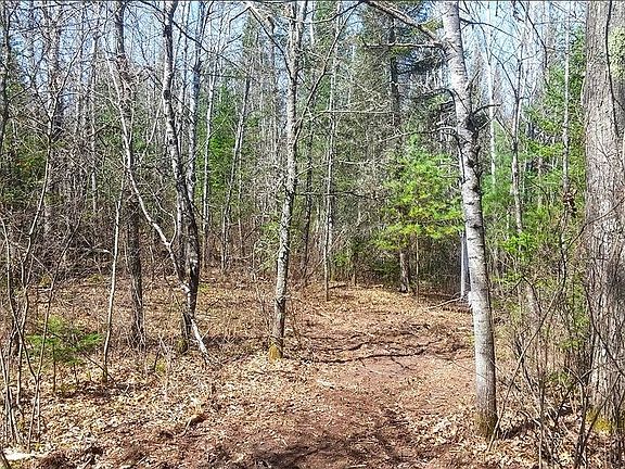 5th image of 2 Lodge Lake Rd