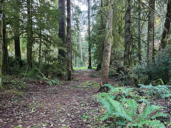 17616 30th Street NW, Lakebay, WA 98349