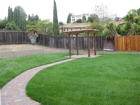 back garden