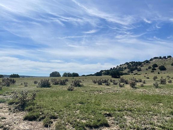 4th image of Bear Springs Trl
