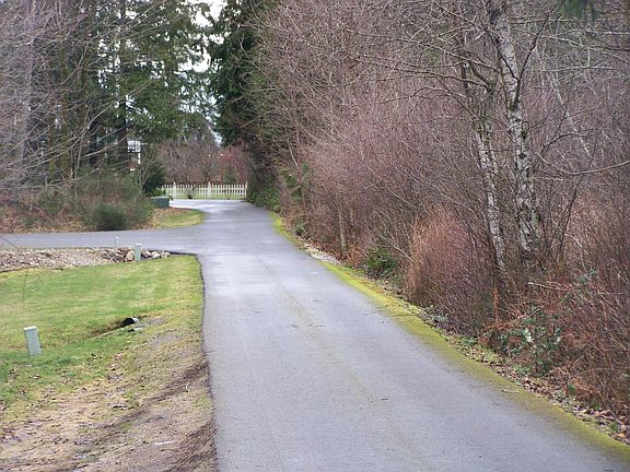 View of the street