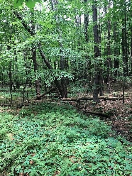 3rd image of 0 KREIGER Lane