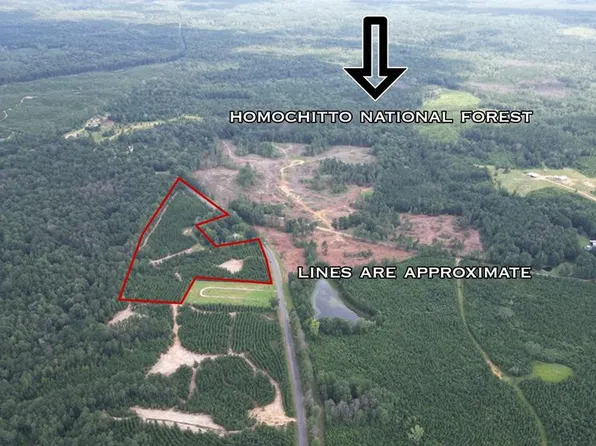 6271 Oxford Meadville Rd, Gloster, MS 39638