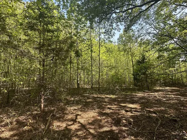 Willard Williamson Rd, Milan, TN 38358