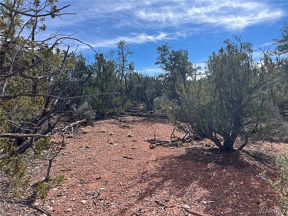 4th image of 301-24 N Duffis Bluff Rd #325