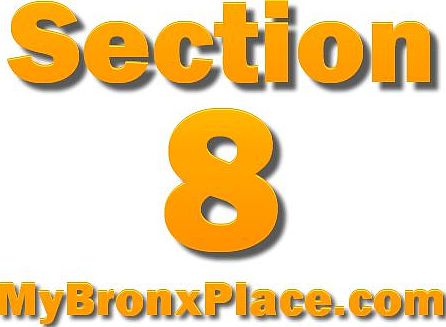 Section 8