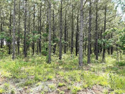 LOT 27 Grant County Rd #763, Sheridan, AR, 72150