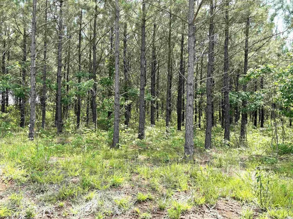 27 Grant County Rd #763, Sheridan, AR 72150