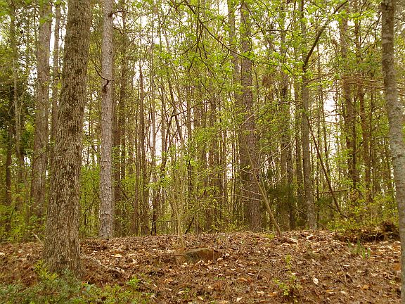 4th image of Lot 2071 Indian Hills Dr - Chickasaw Point