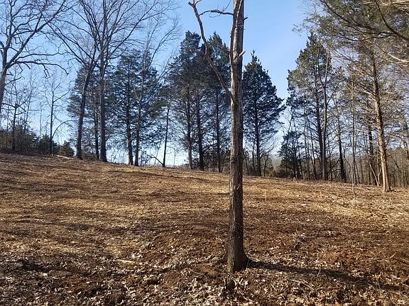 5th image of 9487 Bent Tree Dr