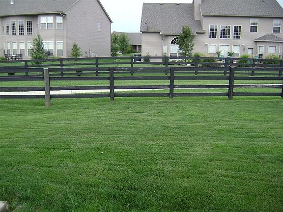large back yard