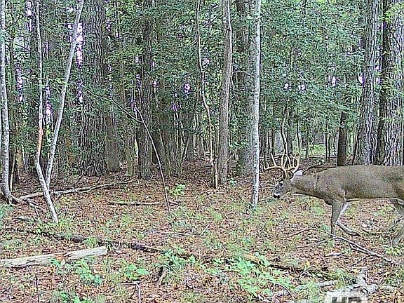 5th image of 11.770 Daugherty Rd