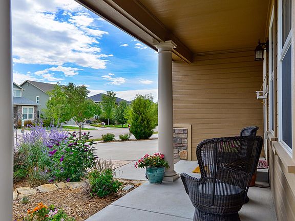 View of the Neighborhood