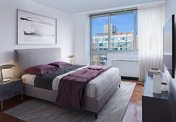 4th image of 229 Chrystie St APT 1413