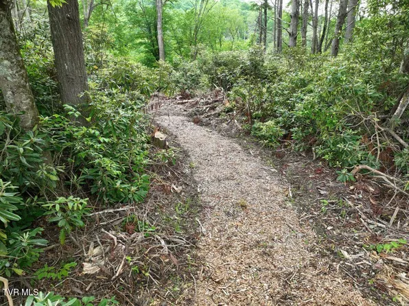 1772 Ripshin Mountain Rd, Roan Mountain, TN 37687