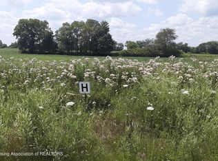 0 Montels Way PARCEL H, Charlotte, MI 48813