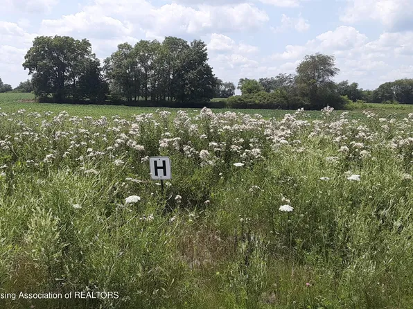 0 Montels Way Parcel H, Charlotte, MI 48813