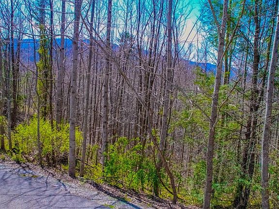 5th image of 32 Sonshine Ridge Rd Lot 32