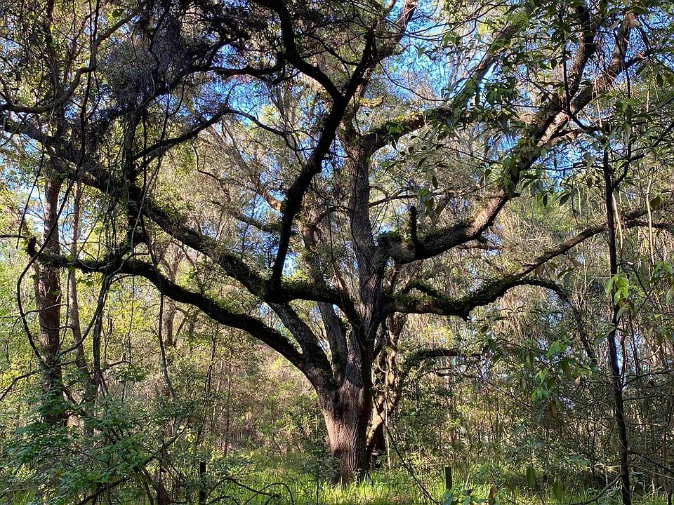 3480 Crum Rd, Brooksville, FL 34604 Zillow