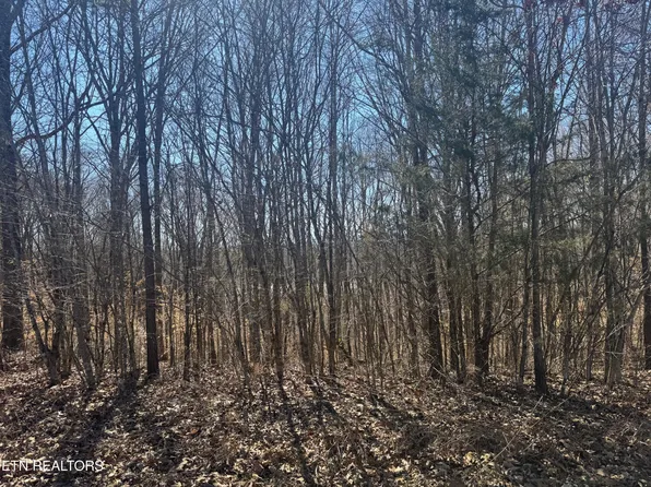 LOT 71 Saddleridge Dr, Speedwell, TN 37870