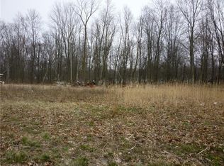 Elm St, Sheffield lake, OH 44054