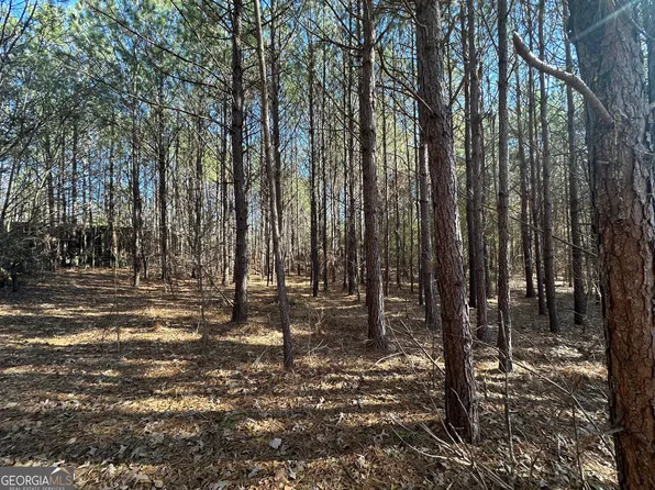 2028 Threadgill Rd, Greenville, GA 30222