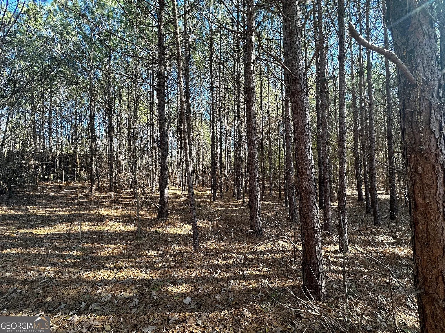 2028 Threadgill Rd photo 1