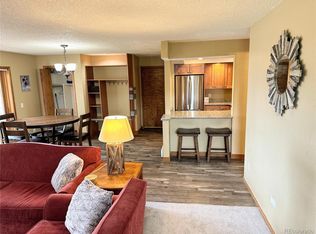 163 County Road 840 #2, Fraser, CO 80442