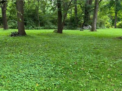 0 Woodland Ln, East China, MI, 48054