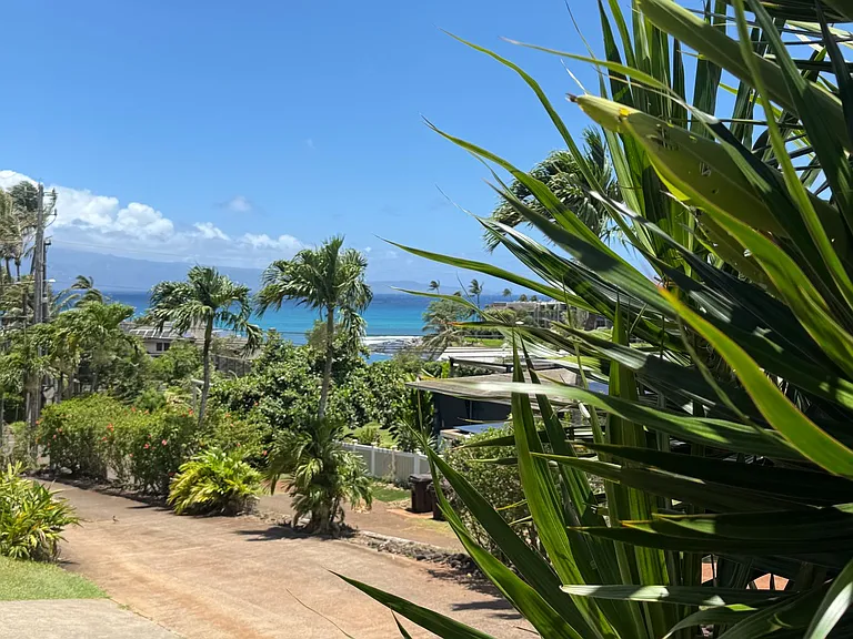 5204 Lower Honoapiilani Rd — Photo 16