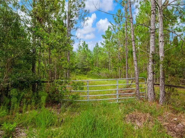 Salyers Rd, Clermont, FL 34714