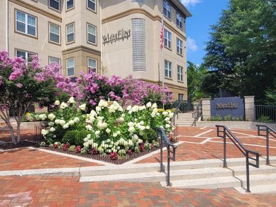 11750 Old Georgetown Rd APT 2526, North Bethesda, MD, 20852