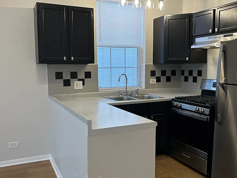2328 W Belmont Ave #3 — Photo 9