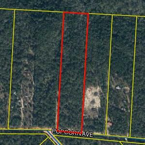 325 Popcorn Ave, Defuniak Springs, FL, 32433