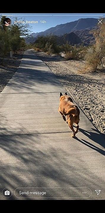Fred Wolff trails