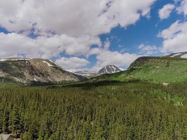 503 Golden Hills Rd, Alma, CO 80420