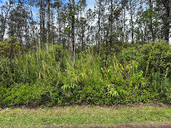 2nd image of Orchid Dr Lot 24