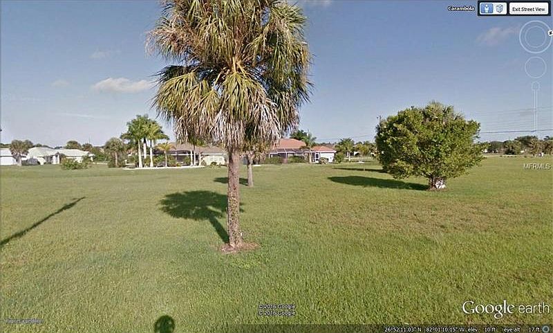 2nd image of 7417 Carambola