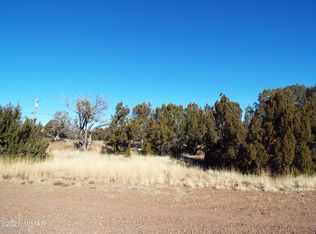 8436 Snowflake Cir, Show Low, AZ 85901