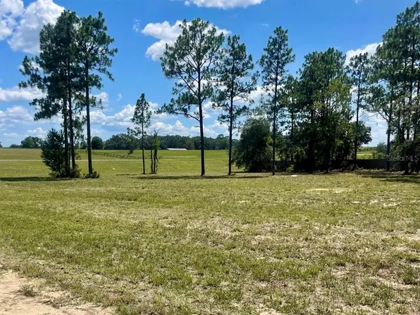 NE 137th Ave Lot 5, Williston, FL 32696