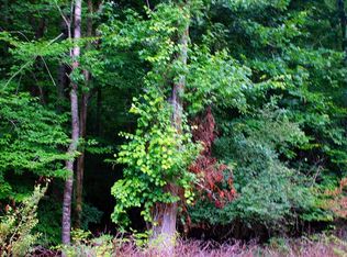 144 Caron Dr, Spring City, TN 37381